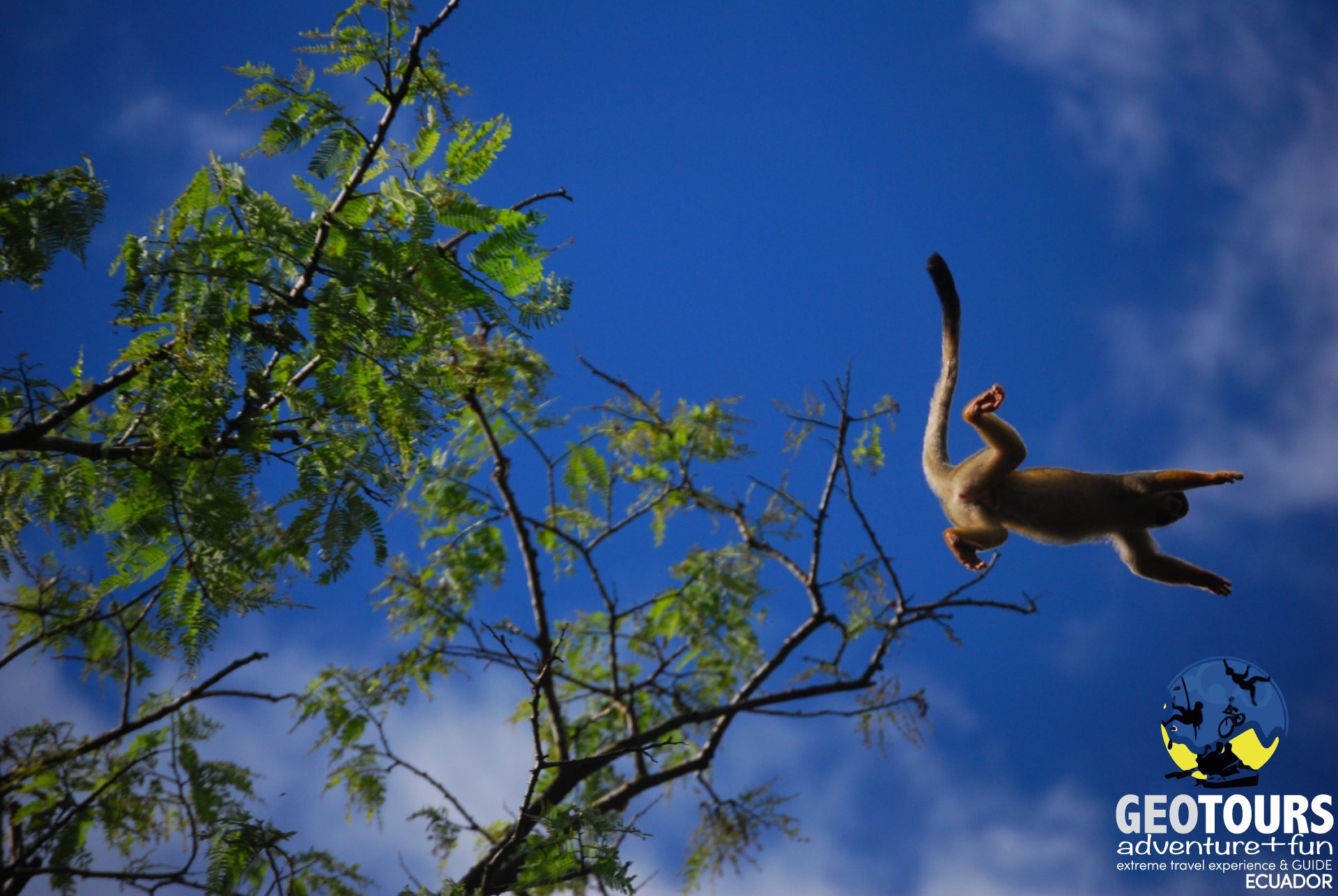 Parque Nacional Yasuní­ - Tour Amazoní­a - 5 dí­as 